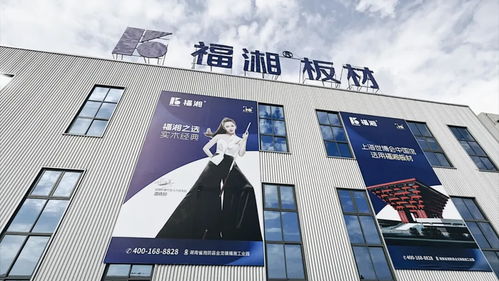 創(chuàng)新齊聚力 同心向未來(lái)丨福湘北方臨沂客戶服務(wù)中心成立暨新產(chǎn)品發(fā)布會(huì)圓滿成功
