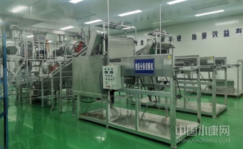 津甘協作花 綻放紅土地 環(huán)縣電子商務產業(yè)園巡禮